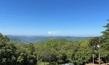 Fazenda à venda na Rs 020, 230, Primeiro Distrito, São Francisco de Paula, 224 m2 por R$ 2.750.000