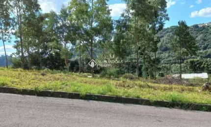 Terreno à venda na rua joão celli, 4, santa catarina, caxias do sul, 300 m2 por r$ 150.000