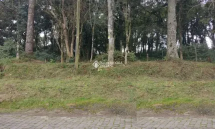 Terreno à venda na Rua Theodoro Bianchi, 102, Bela Vista, Caxias do Sul, 600 m2 por R$ 304.000