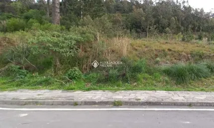 Terreno à venda na rua luiz covolan, 4536, santa catarina, caxias do sul, 362 m2 por r$ 200.000