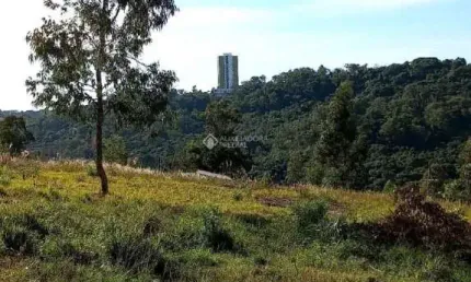 Terreno à venda na Rua Francisca de Steffani Doncato, 18, Santa Catarina, Caxias do Sul, 302 m2 por R$ 150.000