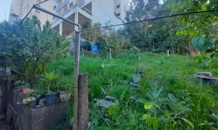 Terreno à venda na Rua Agostinho Peves, 999, Petrópolis, Caxias do Sul, 480 m2 por R$ 700.000