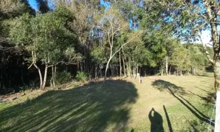 Terreno à venda na Rua Travessão Solferino, 999, Cruzeiro, Caxias do Sul, 26666 m2 por R$ 4.500.000