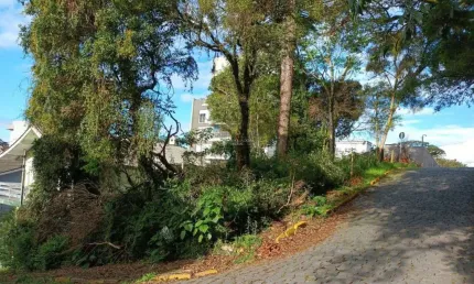 Terreno à venda na Rua Adalberon Cruz, 999, Bela Vista, Caxias do Sul, 360 m2 por R$ 300.000