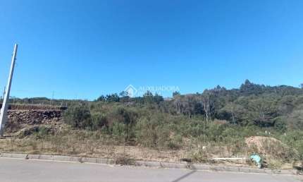 Terreno à venda na Ophelia Bertelli Fiamenghi, 202, São Giácomo, Caxias do Sul, 519 m2 por R$ 184.900