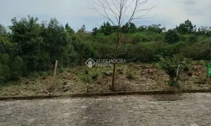 Terreno à venda na alberto vacchi, 999, desvio rizzo, caxias do sul, 357 m2 por r$ 180.000