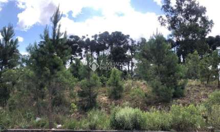 Terreno à venda na Professor Generozo Dias Soares, 999, São Virgílio, Caxias do Sul, 340 m2 por R$ 210.000