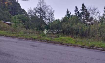 Terreno à venda na Gilberto Vissirini Lahm dos Reis, 585, São Virgílio, Caxias do Sul, 325 m2 por R$ 160.000