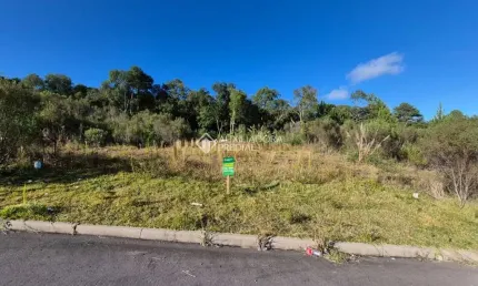 Terreno à venda na Rua Vereador Pedro Rech, 513, São Giácomo, Caxias do Sul, 318 m2 por R$ 160.000