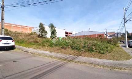 Terreno à venda na Rua das Gardênias, 3, Cinqüentenário, Caxias do Sul, 448 m2 por R$ 532.000