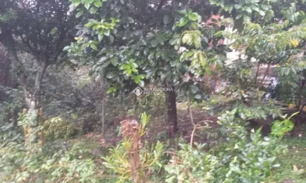 Terreno à venda na tristão oliveira, 663, floresta, gramado, 360 m2 por r$ 2.150.000