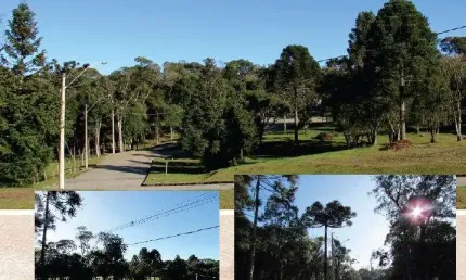 Terreno à venda na Mariana Schlieper Franzen, 1, Vila Mina, Canela, 450 m2 por R$ 578.268