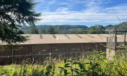 Terreno comercial à venda na JOAO CARLOS CAMERINI, 888, Carazal, Gramado, 1800 m2 por R$ 11.900.000