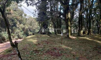 Terreno comercial à venda na Doutor Rui Vianna Rocha, 100, São Luiz, Canela, 407 m2 por R$ 309.488