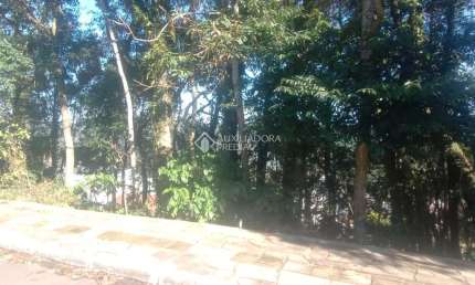 Terreno à venda na Abel Parmegiani  lot Benetti quadra D lote 21, 75, Floresta, Gramado, 275 m2 por R$ 350.000