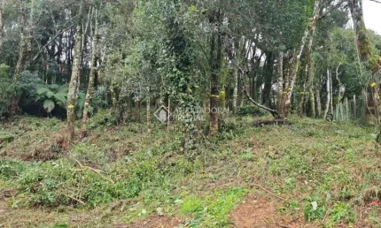 Terreno à venda na Da Avenca, 1, Leodoro de Azevedo, Canela, 681 m2 por R$ 380.000
