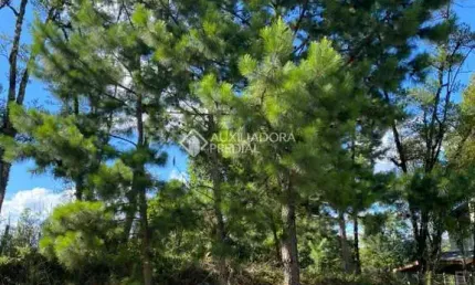 Terreno em condomínio fechado à venda na Quaresma, 9, Carniel, Gramado, 432 m2 por R$ 600.000