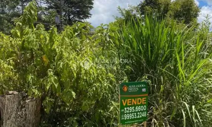 Terreno à venda na 1º de janeiro esq com campestre do tigue, 5, vale dos pinheiros, gramado, 930 m2 por r$ 460.000
