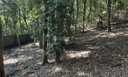 Terreno em condomínio fechado à venda na Laurindo Comiotto, 60, Lagos do Bosque, Gramado, 619 m2 por R$ 820.000