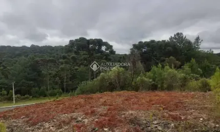Terreno à venda na beatriz de oliveira, 15, dutra, gramado, 450 m2 por r$ 495.000
