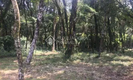Terreno à venda na Rua Severino Inocente Zini, 20, Centro, Canela, 1019 m2 por R$ 489.000
