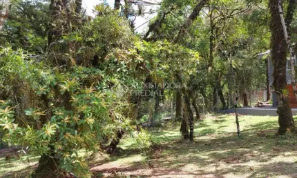 Terreno em condomínio fechado à venda na QUADRA F  LOTE 2, 2, Centro, Canela, 544 m2 por R$ 1.500.000