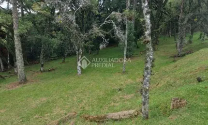 Terreno em condomínio fechado à venda na QUADRA C  LOTE 6, 6, Centro, Canela, 595 m2 por R$ 1.400.000