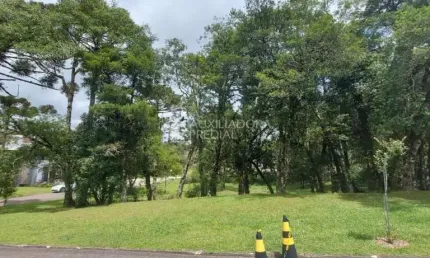 Terreno em condomínio fechado à venda na quadra d  lote 11, 11, centro, canela, 707 m2 por r$ 1.800.000