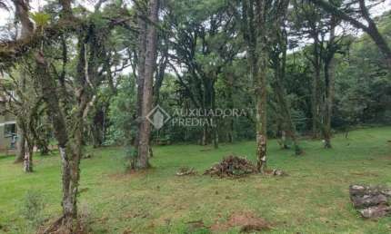 Terreno em condomínio fechado à venda na QUADRA C LOTE 07, 7, Centro, Canela, 595 m2 por R$ 1.400.000