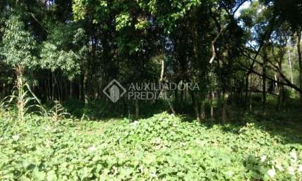 Terreno em condomínio fechado à venda na TRAVESSA DO COLEGIO, 1, Várzea Grande, Gramado, 55000 m2 por R$ 20.000.000