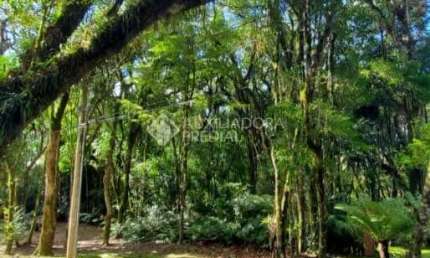 Terreno em condomínio fechado à venda na Rua Prefeito Waldemar Frederico Weber, 1815, Mato Queimado, Gramado, 1284 m2 por R$ 1.650.000