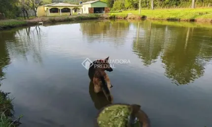 Fazenda à venda na Estrada Passo do Morrinho, 4730, Fiuza, Viamão, 260 m2 por R$ 370.000
