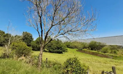 Terreno à venda na Santa Rita Ao Caju, 100, Floresta, Nova Santa Rita, 33000 m2 por R$ 3.000.000