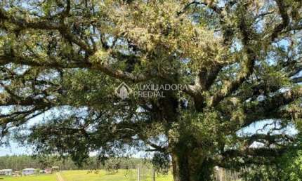 Fazenda à venda na Distrito Vendinha, 1, Zona Rural, Triunfo, 330 m2 por R$ 679.990