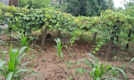 Fazenda à venda na Piauí, 95, Cecília, Viamão, 2000 m2 por R$ 269.000