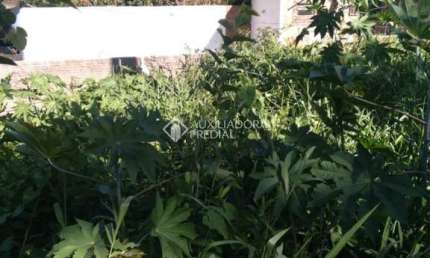 Terreno à venda na Rua Mariano de Matos, 834, Santa Tereza, Porto Alegre, 352 m2 por R$ 320.000