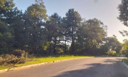 Terreno à venda na Rua Coronel Jacob Kroeff Filho, 1131, Rondônia, Novo Hamburgo, 7000 m2 por R$ 980.000