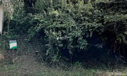 Terreno à venda na São Francisco, 19, Centro, Campo Bom, 422 m2 por R$ 165.000