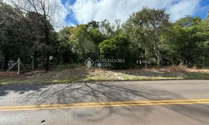 Terreno à venda na rua pedro jóse kolling, 1840, centro, morro reuter, 2700 m2 por r$ 700.000