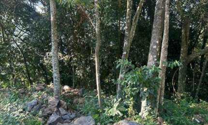 Terreno à venda na Veranopolis, 3, Pousada da Neve, Nova Petrópolis, 714 m2 por R$ 371.000
