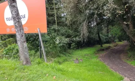 Terreno comercial à venda na br 116, 231, cidade nova, ivoti, 2046 m2 por r$ 3.392.000