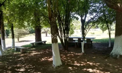Fazenda à venda na canto alegre, 1900, lageadinho, são sebastião do caí, 107000 m2 por r$ 1.450.000