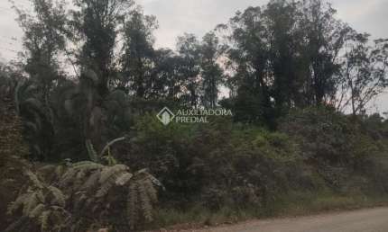 Fazenda à venda na Do Comércio, 00, Barra Do Ouro, Maquiné, 220000 m2 por R$ 700.000