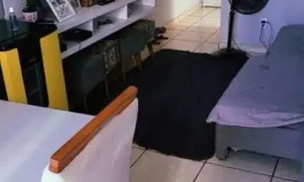 Apartamento com 3 quartos à venda no Jardim Stella, Santo André 