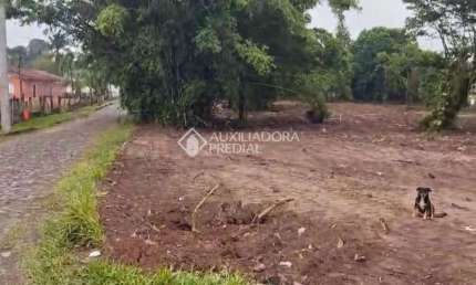Terreno à venda na Rua Jorge do Amaral, 276, Arroio da Manteiga, São Leopoldo, 3895 m2 por R$ 850.000