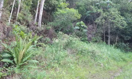 Terreno à venda na Estrada Manoel Leôncio de Souza Brito, 2773, Vargem Pequena, Florianópolis, 5628 m2 por R$ 750.000