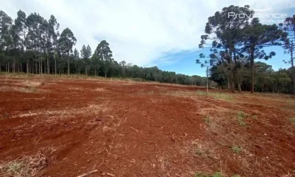 Chácara à venda, 937 m² por R$ 374.000,00 - Zona Industrial - Cascavel/PR
