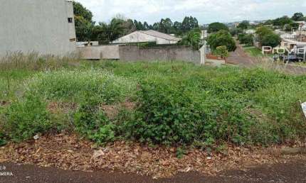 Terreno à venda, 448 m² por R$ 600.000,00 - Pacaembu - Cascavel/PR
