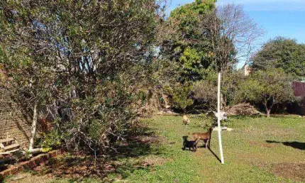 Terreno à venda, 590 m² por r$ 700.000,00 - parque são paulo - cascavel/pr