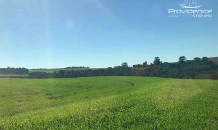 Sítio à venda, 3146000 m² por R$ 590.000,00 - Rural - Cascavel/PR